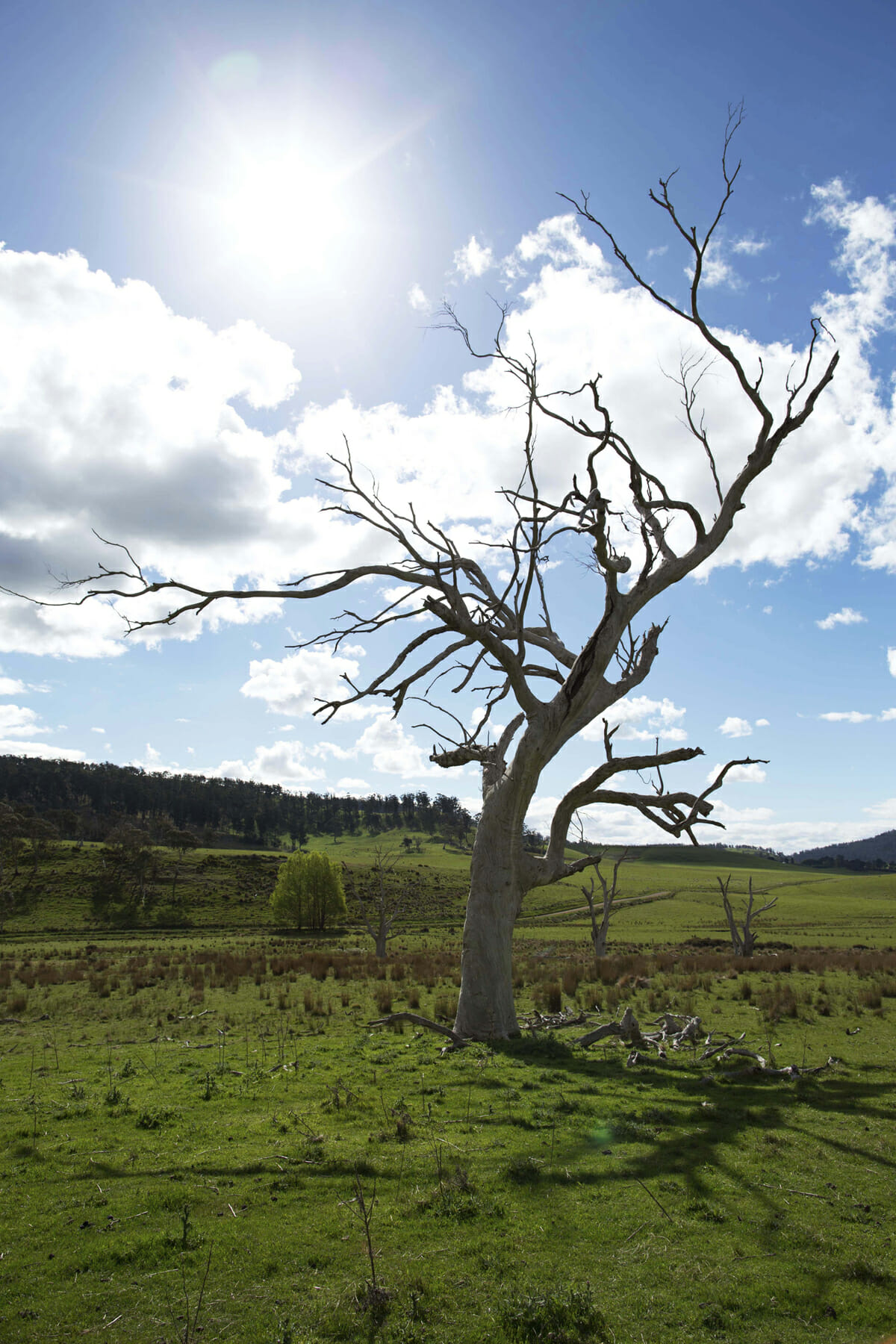 Auf der Suche nach der Nachhaltigkeit Foto: Ortovox