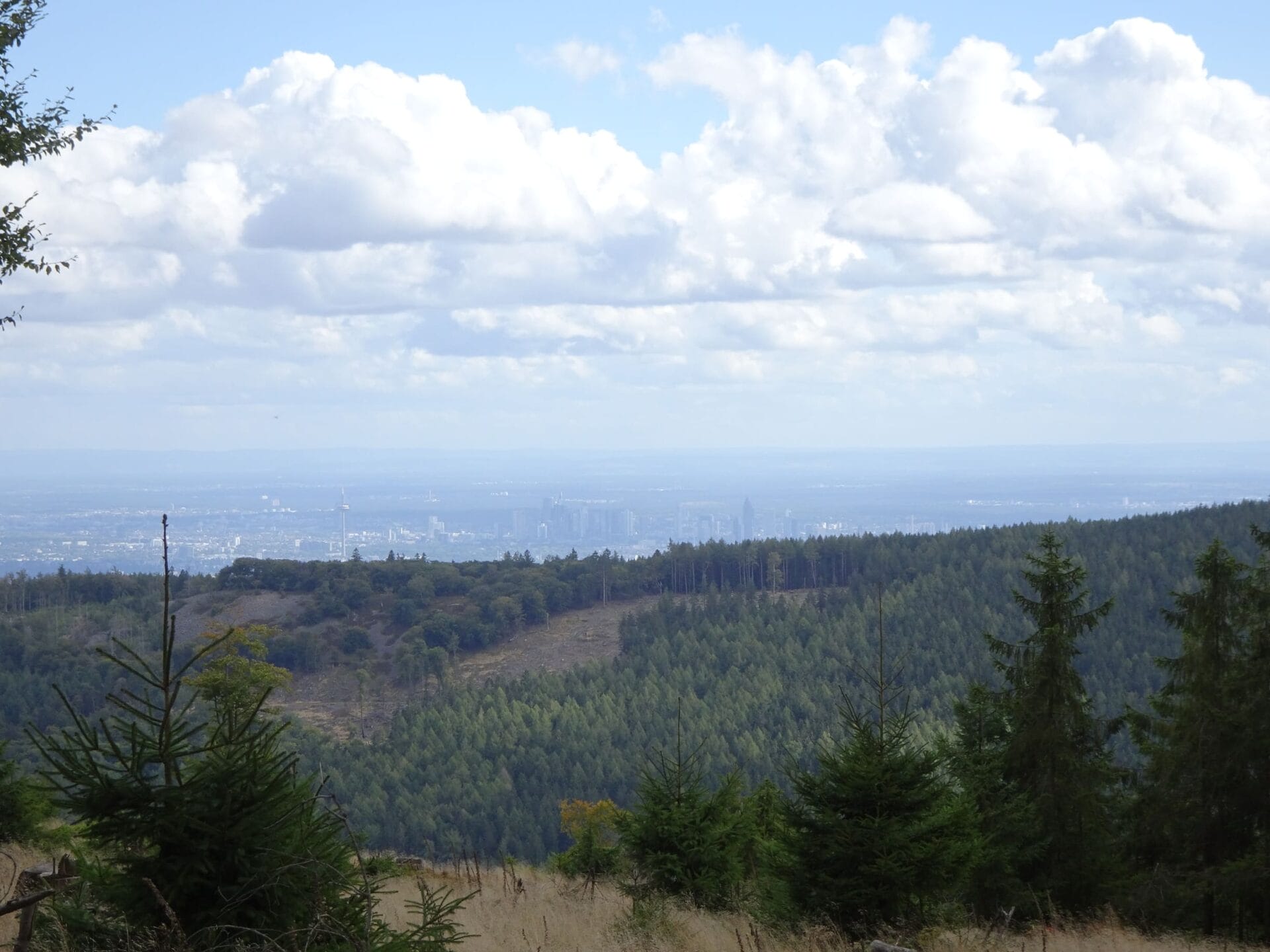 Ausblick vom Gipfel des Großen Feldberg auf die Frankfurter Skyline.