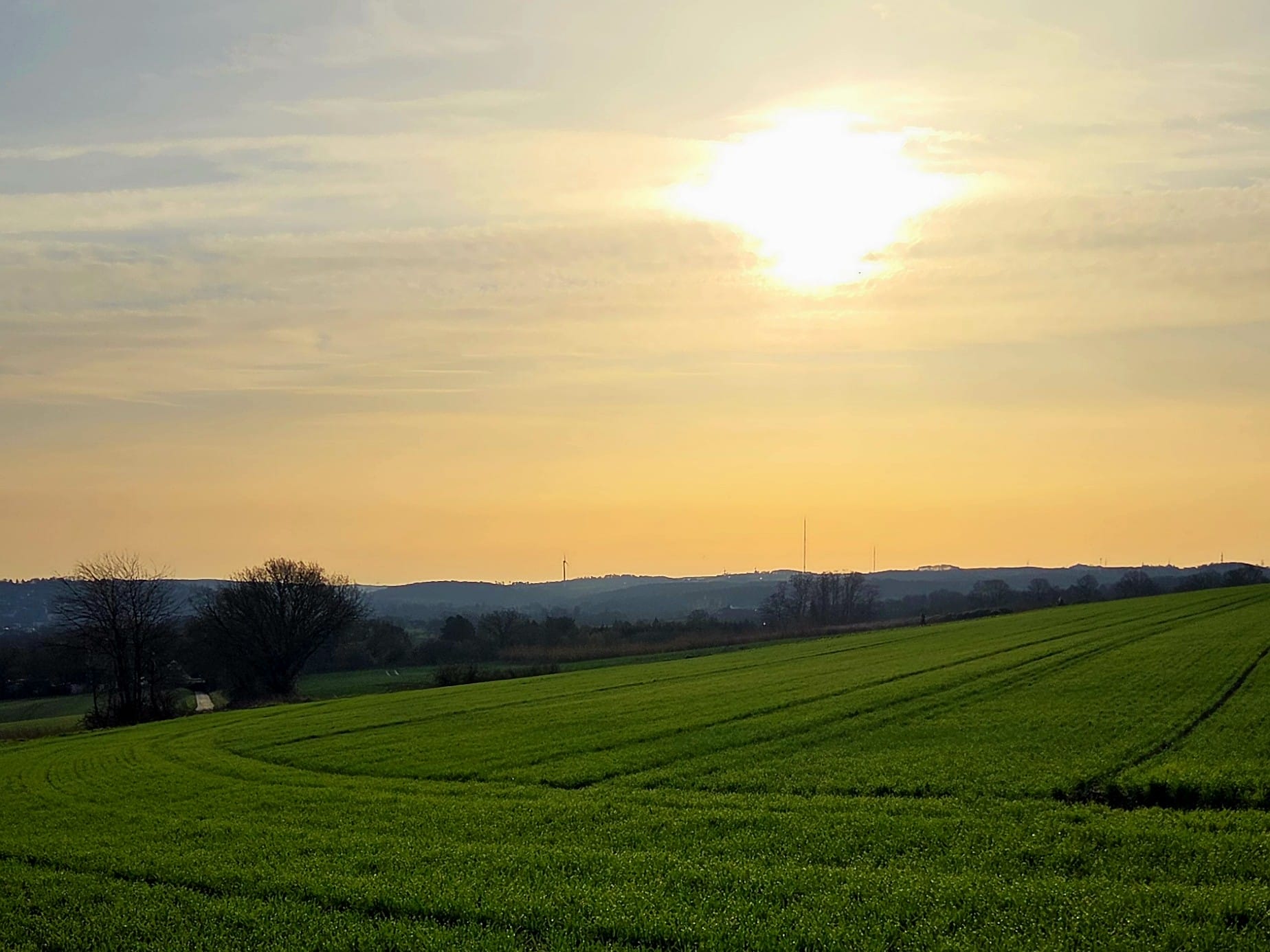 Baldeneysteig Felder und Landschaft