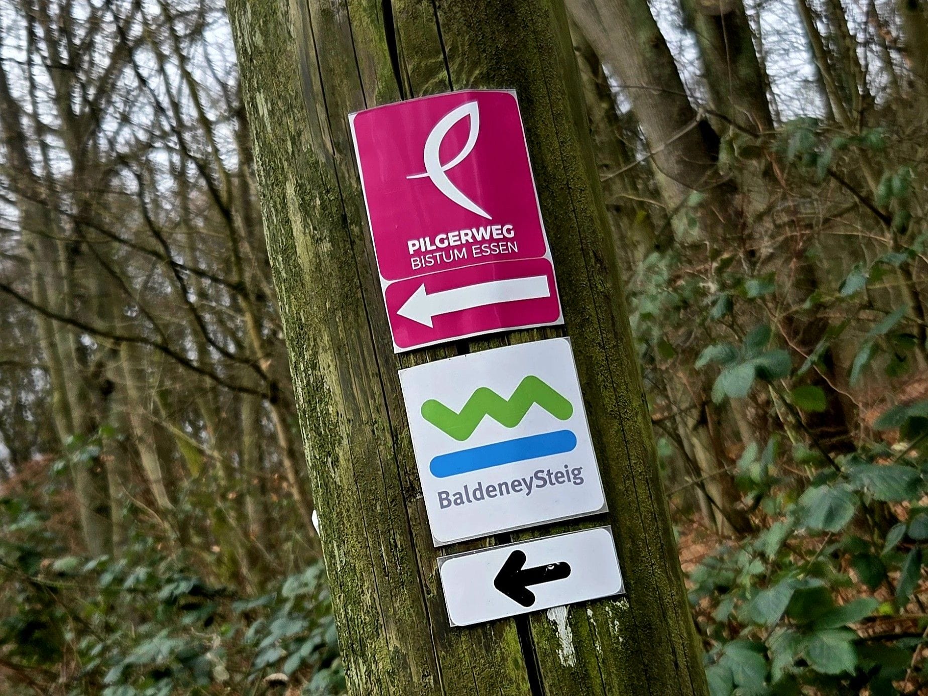 Baldeneysteig Wegweiser