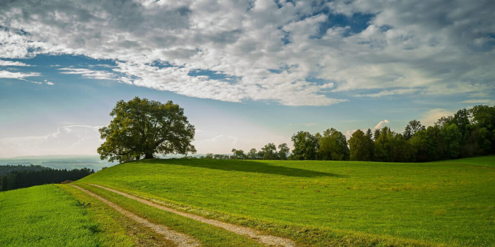 20230523_GORE TEX_Titel