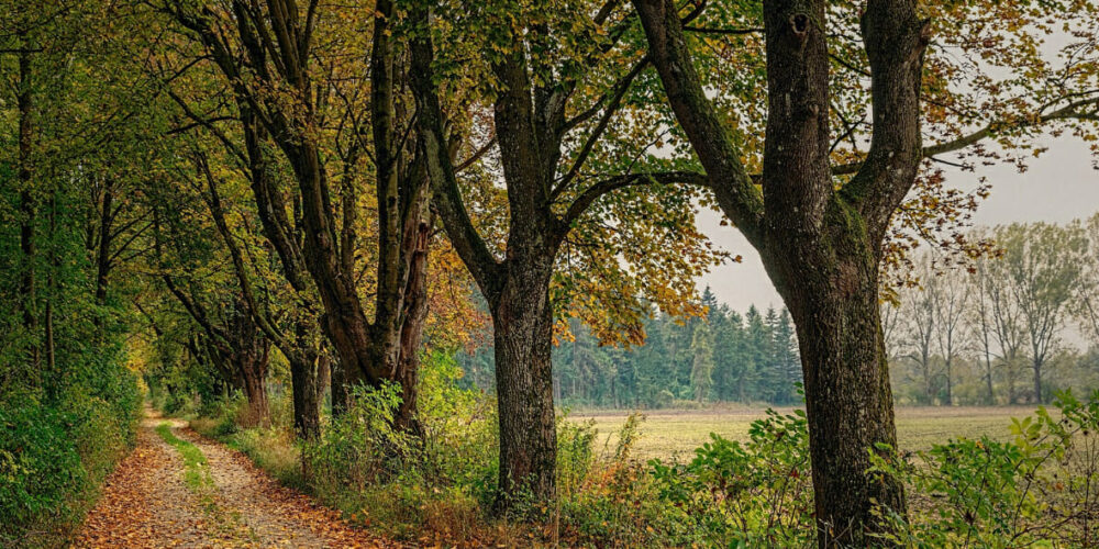 20230619_eVent_Titel