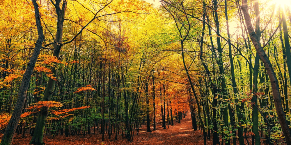 20230922_Übergangskleidung_Titel-min