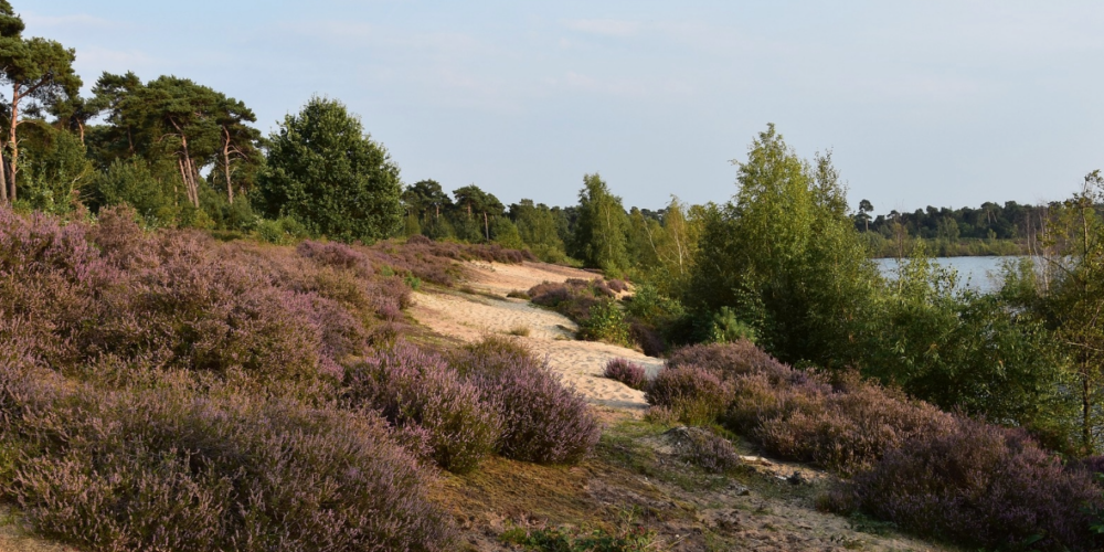 21122023_Maasduinen wandern_Titel