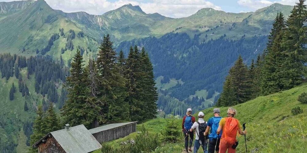 Vier Wanderer auf einem Feld, im Hintergrund die Berge des Kleinwalsertal