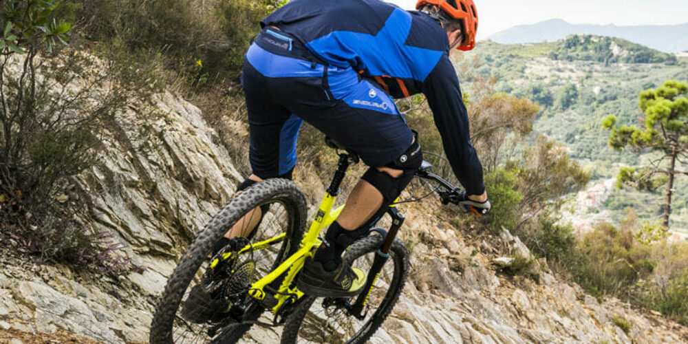 Kaufberatung MTB-Reifen