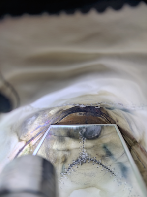 Bild 1 von Bettina zu AKU - Minima - Freizeitschuhe