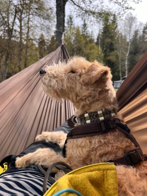 Bild 1 von Ulrike zu Cocoon - Hammock Straps Ultralight