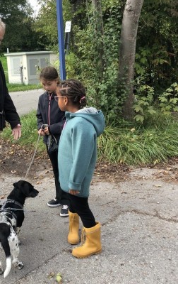 Bild 1 von Julia zu disana - Kid's Walk-Jacke Zipp - Wolljacke