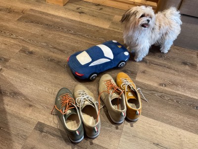 Bild 1 von Frank zu Dolomite - Cinquantaquattro Low Full Grain Leather Evo GTX - Freizeitschuhe