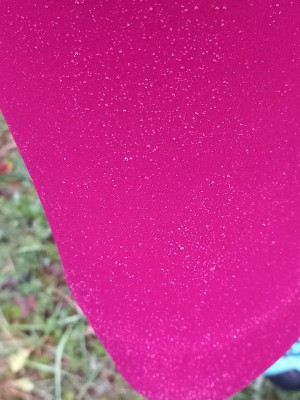 Bild 1 von Doris zu Dynafit - Women's Alpine Warm Pant - Laufhose