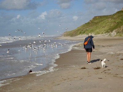 Bild 1 von Dieter zu Fjällräven - High Coast Hip Pack - Hüfttasche