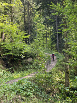 Bild 1 von Anna-Lena zu FOX Racing - Speedframe Helmet Mips - Radhelm