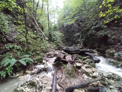 Bild 1 von Matjaz zu HOKA - Speedgoat 5 - Trailrunningschuhe
