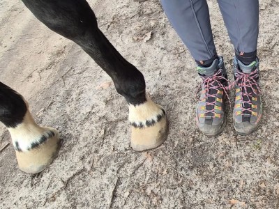 Bild 1 von Ines zu La Sportiva - Women's Trango TRK Leather GTX - Wanderschuhe