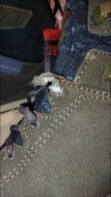 Bild 1 von Rodolphe zu Lowa - Malta GTX MID - Wanderschuhe