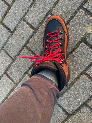 Bild 1 von Daniel zu Lowa - Renegade GTX MID - Wanderschuhe