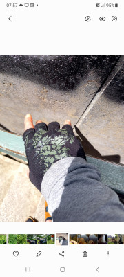 Bild 1 von sabine zu Maloja - ReedM. - Handschuhe