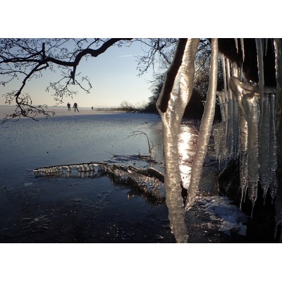 Bild 1 von Thure zu Nalgene - Weithalsflaschen rechteckig