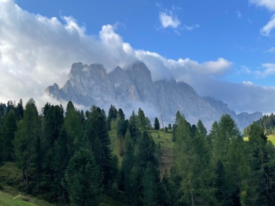 Bild 1 von Thomas zu Ortovox - All Mountain Mid Socks - Merinosocken