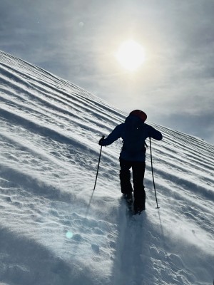 Bild 1 von Peter zu Ortovox - Tour Glove - Handschuhe