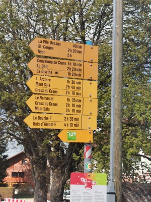 Bild 1 von Peter zu Salewa - MTN Trainer Mid GTX - Wanderschuhe