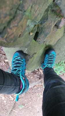 Bild 1 von Sonnhild zu Salewa - Women's Wildfire Edge - Approachschuhe