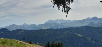 Bild 1 von Bruno zu Scarpa - Mojito Trail GTX Suede - Multisportschuhe