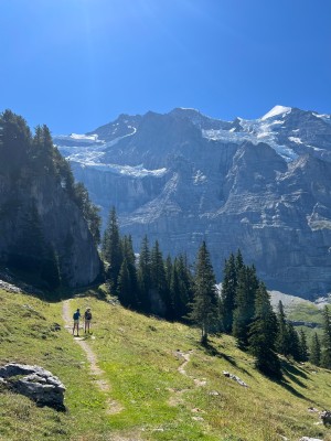 Bild 1 von Joost zu Western Mountaineering - MegaLite - Daunenschlafsack