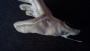Bild 2 von Martin zu Edelrid - Sticky Glove - Handschuhe