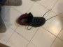 Bild 2 von Marianna Almpoura zu La Sportiva - Women's TXS GTX - Wanderschuhe