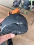 Bild 1 von Moritz zu Mammut - Kento Advanced High GTX - Bergschuhe