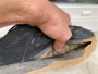 Bild 2 von Quentin zu Northwave - Rockit - Radschuhe