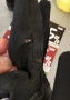 Bild 1 von Steffen zu Reusch - Diver X R-Tex XT - Handschuhe