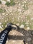 Bild 1 von Veronika zu Scarpa - Women's Rush Trek Pro GTX - Wanderschuhe